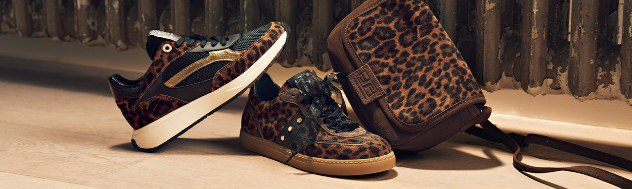 New collection